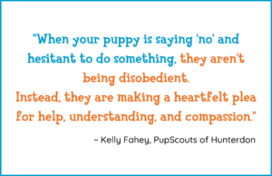 Should your puppy be allowed to say 'no'?
When your puppy says 'no,' they are making a heartfelt plea for help, understanding, and compassion in training